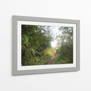 Bosque del Delta del Rio de la Plata  TGRANDE - FErB | Cuadro decorativo de Canvas Lab