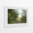 Bosque del Delta del Rio de la Plata  TGRANDE - FErB | Cuadro decorativo de Canvas Lab