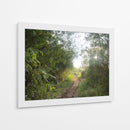 Bosque del Delta del Rio de la Plata  TGRANDE - FErB | Cuadro decorativo de Canvas Lab