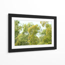 bosque de la costa del Río de la Plata - FErB | Cuadro decorativo de Canvas Lab
