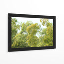 bosque de la costa del Río de la Plata - FErB | Cuadro decorativo de Canvas Lab