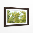 bosque de la costa del Río de la Plata - FErB | Cuadro decorativo de Canvas Lab