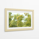 bosque de la costa del Río de la Plata - FErB | Cuadro decorativo de Canvas Lab