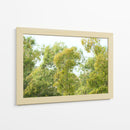 bosque de la costa del Río de la Plata - FErB | Cuadro decorativo de Canvas Lab