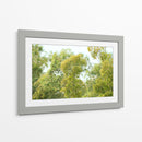 bosque de la costa del Río de la Plata - FErB | Cuadro decorativo de Canvas Lab