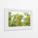 bosque de la costa del Río de la Plata - FErB | Cuadro decorativo de Canvas Lab