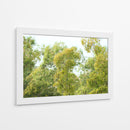 bosque de la costa del Río de la Plata - FErB | Cuadro decorativo de Canvas Lab