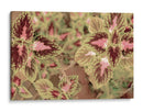 CALIDOSCOPIO VEGETAL - FErB | Cuadro decorativo de Canvas Lab