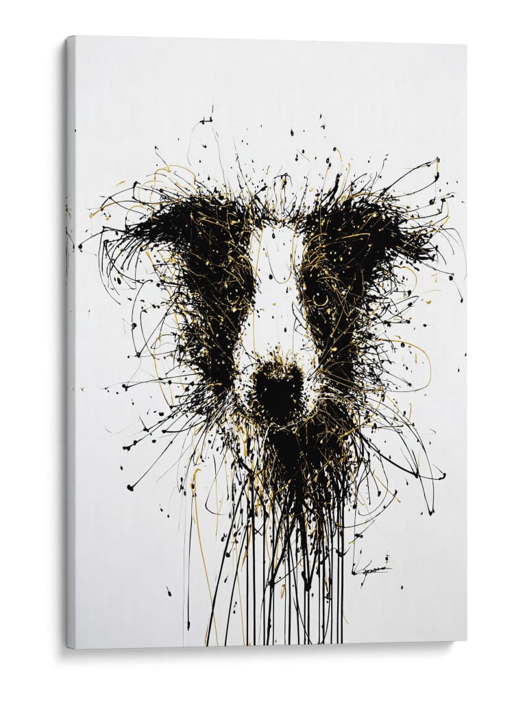 Perro Dorado Collie - DIEGO D L | Cuadro decorativo de Canvas Lab