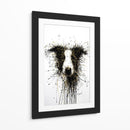 Perro Dorado Collie - DIEGO D L | Cuadro decorativo de Canvas Lab