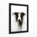 Perro Dorado Collie - DIEGO D L | Cuadro decorativo de Canvas Lab