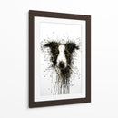 Perro Dorado Collie - DIEGO D L | Cuadro decorativo de Canvas Lab