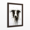Perro Dorado Collie - DIEGO D L | Cuadro decorativo de Canvas Lab