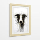 Perro Dorado Collie - DIEGO D L | Cuadro decorativo de Canvas Lab