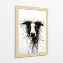 Perro Dorado Collie - DIEGO D L | Cuadro decorativo de Canvas Lab