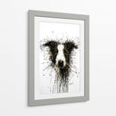Perro Dorado Collie - DIEGO D L | Cuadro decorativo de Canvas Lab