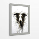 Perro Dorado Collie - DIEGO D L | Cuadro decorativo de Canvas Lab