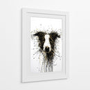 Perro Dorado Collie - DIEGO D L | Cuadro decorativo de Canvas Lab