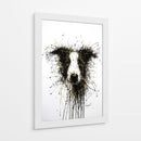 Perro Dorado Collie - DIEGO D L | Cuadro decorativo de Canvas Lab