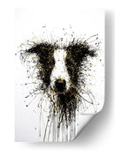 Perro Dorado Collie - DIEGO D L | Cuadro decorativo de Canvas Lab