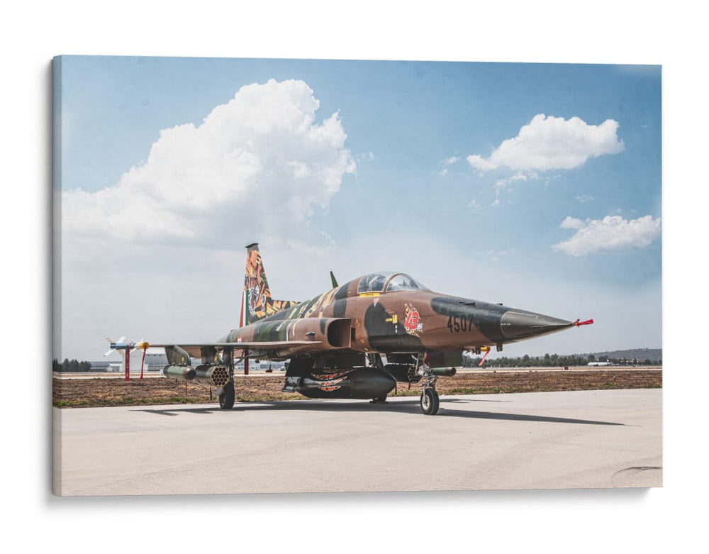 El F-5 mexicano - Ulises Páez | Cuadro decorativo de Canvas Lab