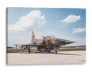 El F-5 mexicano - Ulises Páez | Cuadro decorativo de Canvas Lab