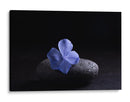 Flor Sobre Piedra - Ulises Páez | Cuadro decorativo de Canvas Lab
