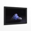 Flor Sobre Piedra - Ulises Páez | Cuadro decorativo de Canvas Lab