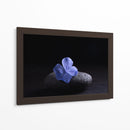 Flor Sobre Piedra - Ulises Páez | Cuadro decorativo de Canvas Lab