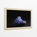 Flor Sobre Piedra - Ulises Páez | Cuadro decorativo de Canvas Lab