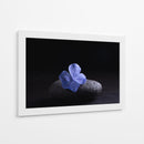 Flor Sobre Piedra - Ulises Páez | Cuadro decorativo de Canvas Lab