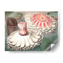 Lily Ii De Agua Vintage - Vision Studio | Cuadro decorativo de Canvas Lab