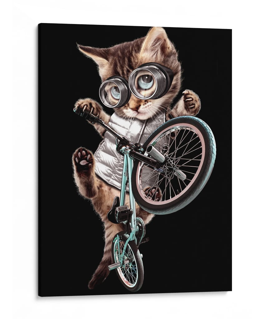 Acrobacia en moto con un gato genial - Adam Lawless | Cuadro decorativo de Canvas Lab