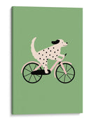 Dálmata en bicicleta - Maren Gross | Cuadro decorativo de Canvas Lab