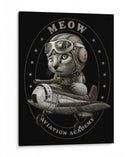 Gato as volador - Adam Lawless | Cuadro decorativo de Canvas Lab
