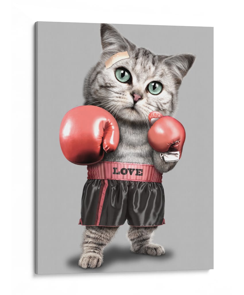 El gato campeón del amor - Adam Lawless | Cuadro decorativo de Canvas Lab