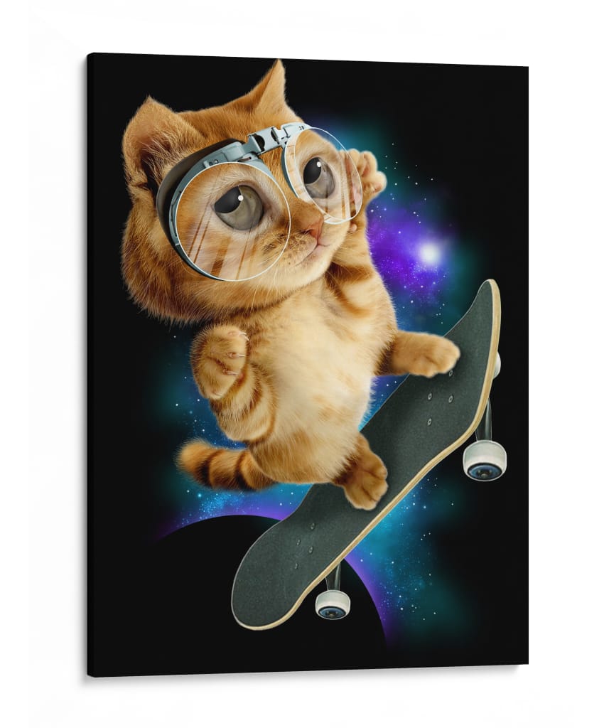 Gato espacial patinador - Adam Lawless | Cuadro decorativo de Canvas Lab