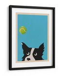 Pelota de tenis Border Collie - WallChart Art Studio | Cuadro decorativo de Canvas Lab