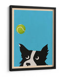 Pelota de tenis Border Collie - WallChart Art Studio | Cuadro decorativo de Canvas Lab