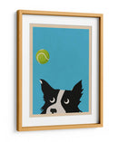 Pelota de tenis Border Collie - WallChart Art Studio | Cuadro decorativo de Canvas Lab