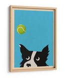 Pelota de tenis Border Collie - WallChart Art Studio | Cuadro decorativo de Canvas Lab