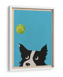 Pelota de tenis Border Collie - WallChart Art Studio | Cuadro decorativo de Canvas Lab