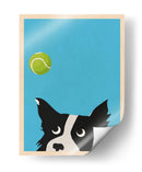 Pelota de tenis Border Collie - WallChart Art Studio | Cuadro decorativo de Canvas Lab