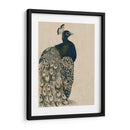 Peacock Con Textura I - Grace Popp | Cuadro decorativo de Canvas Lab
