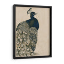 Peacock Con Textura I - Grace Popp | Cuadro decorativo de Canvas Lab