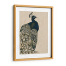 Peacock Con Textura I - Grace Popp | Cuadro decorativo de Canvas Lab