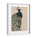 Peacock Con Textura I - Grace Popp | Cuadro decorativo de Canvas Lab