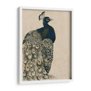 Peacock Con Textura I - Grace Popp | Cuadro decorativo de Canvas Lab