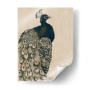 Peacock Con Textura I - Grace Popp | Cuadro decorativo de Canvas Lab