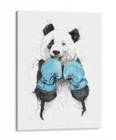 Panda boxeador - Balazs Solti | Cuadro decorativo de Canvas Lab
